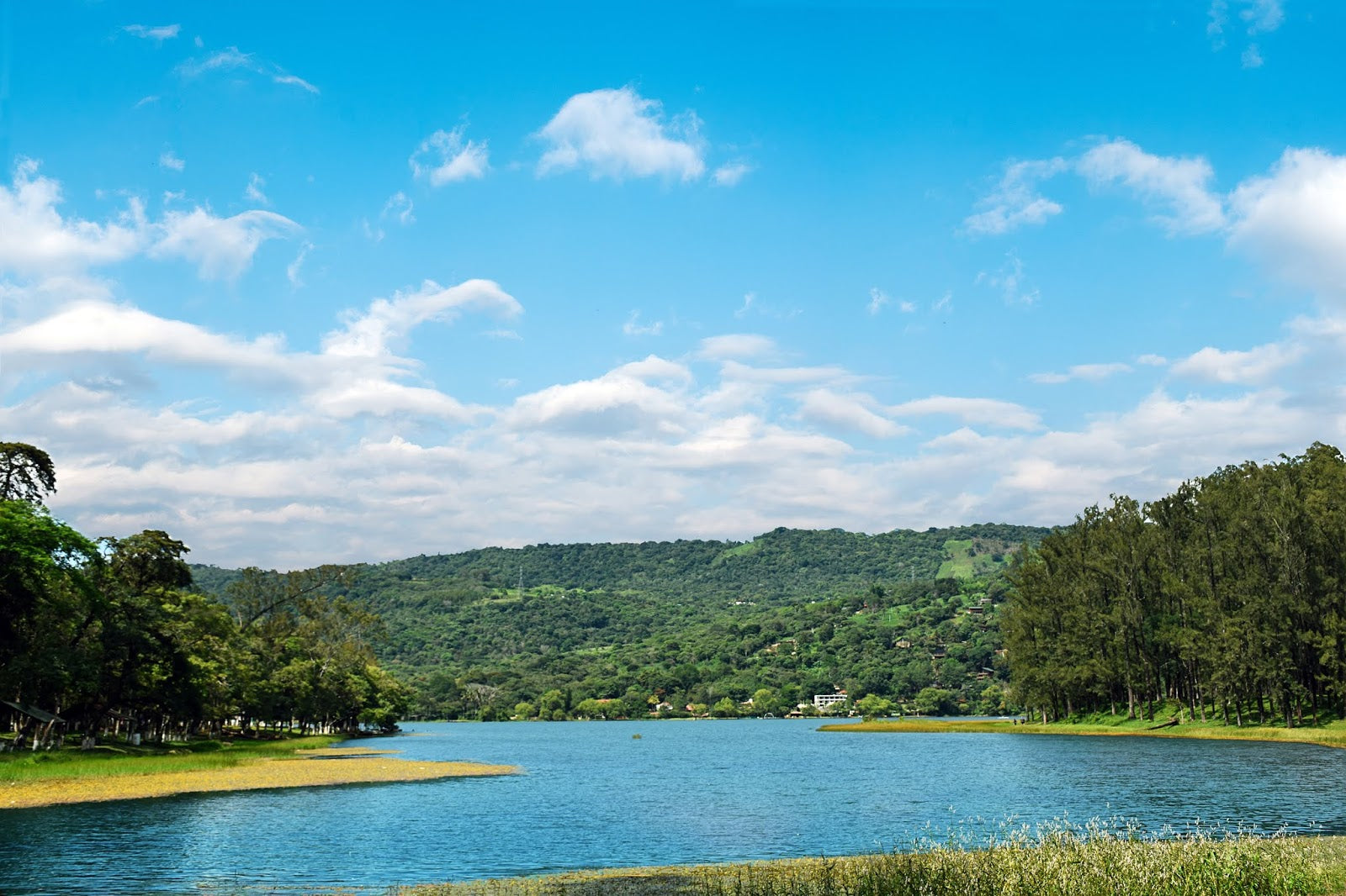 evento 2 | 7 febrero 2026 | relaciones sin ruido