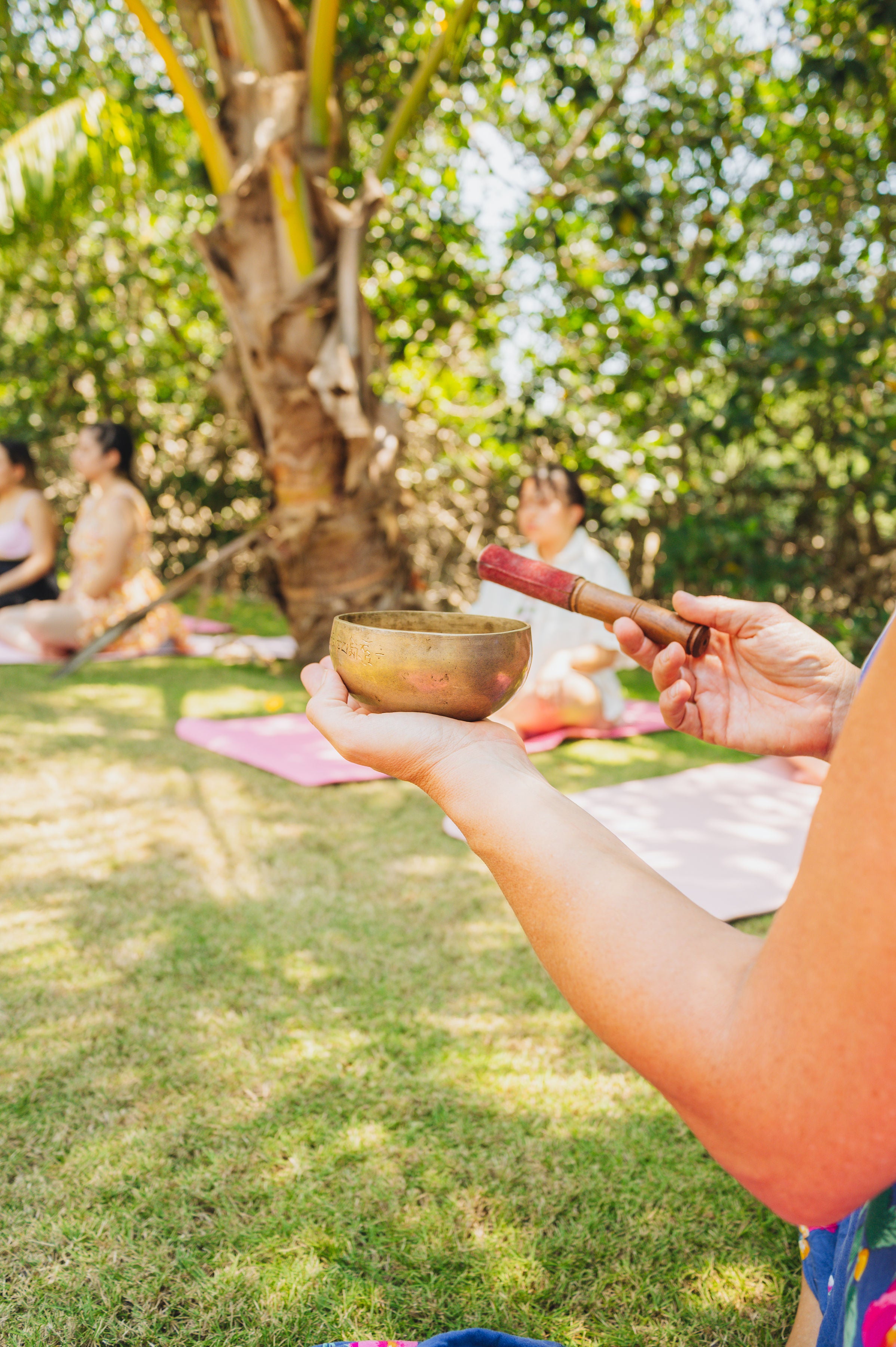 evento 3 | 22 al 22 marzo 2026 | reinicios que construyen